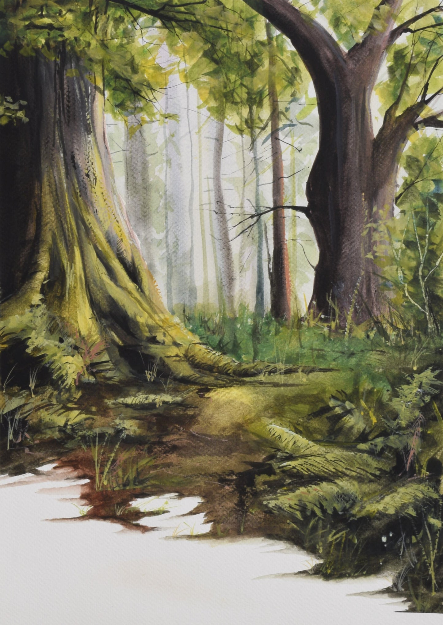 Where the Forest Breathes