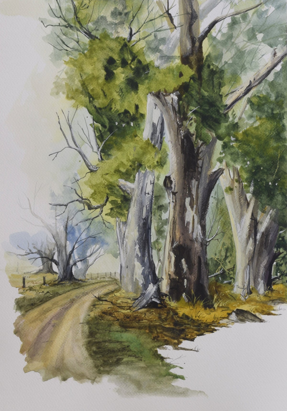Whispers of the Old Grove