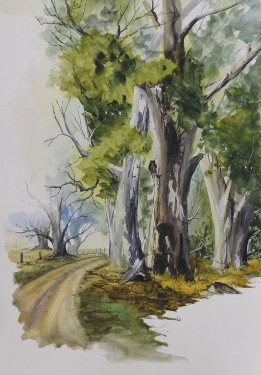 Whispers of the Old Grove